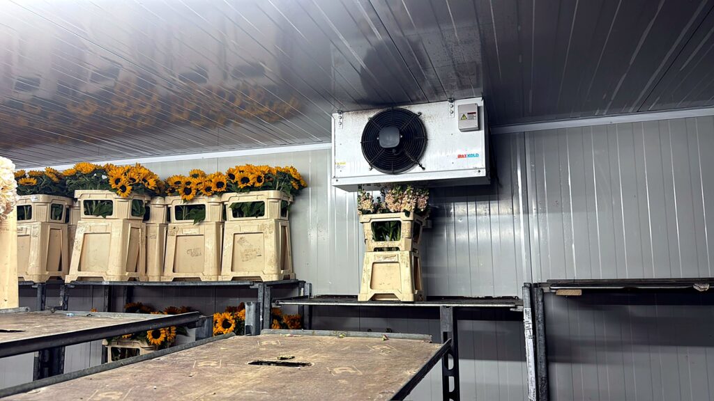 Cold room used for chilled flower storage