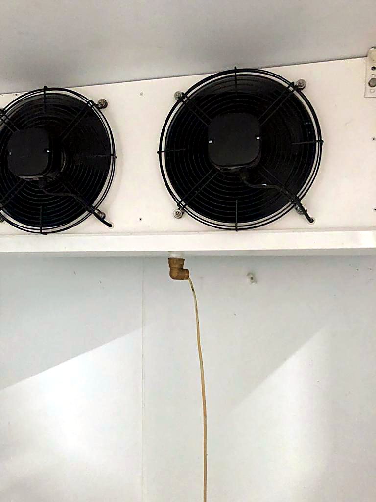 Twin-fan cold room evaporator with drain line