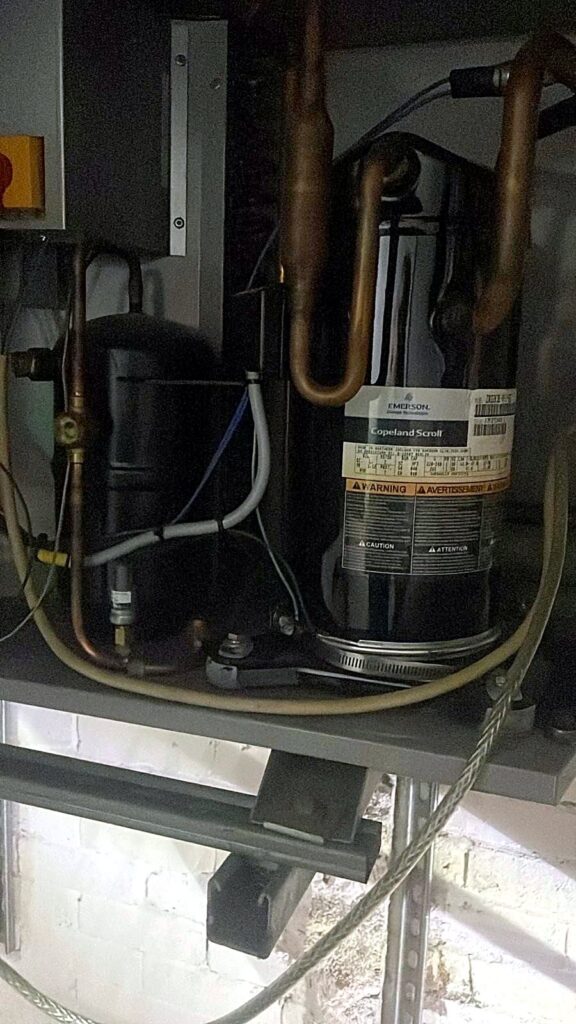 Refrigeration compressor in a plant cabinet